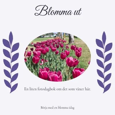 Låt det blomma · botaniskt brev