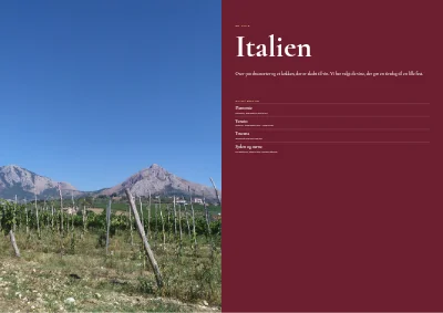 Side 16–17 af Vinkatalog for vinhandel – 48 sider