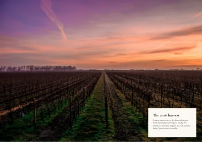 Seiten 6–7 von Wine merchant catalogue – 48 pages