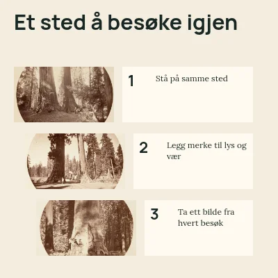 Et sted å vende tilbake til · Tre steg