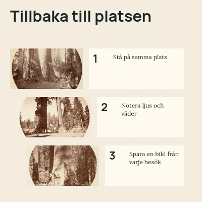 En plats att återvända till · Tre steg