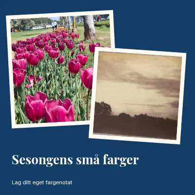 Sesongens små farger · To trykk
