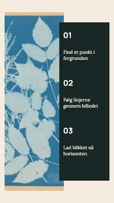 Side 2 af Se længere · Tre trin