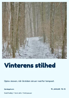 Vinterens stilhed