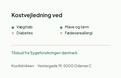 Side 2 af Tallerkenmodellen
