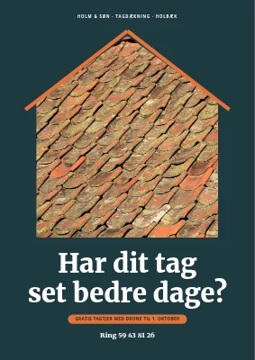 Tagdækker med gratis tagtjek i Holbæk