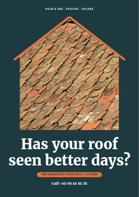 Roofer with a free roof check in Holbæk