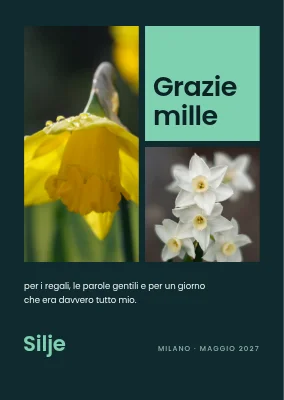 Biglietto di ringraziamento — griglia di foto con narcisi