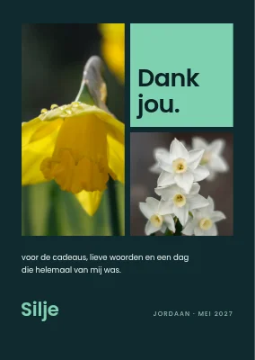 Bedankkaart — fotoraster met narcissen