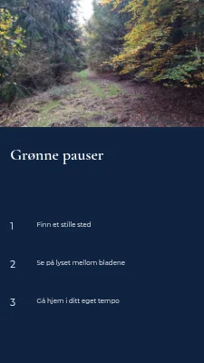 Side 2 av Grønne pauser · panorama med serif