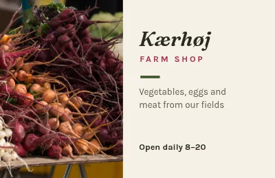 Root crops