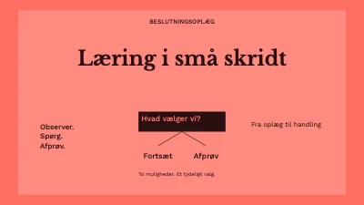Læring i små skridt