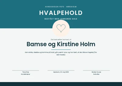 Bevis — hvalpehold