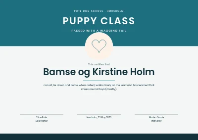 Certificate — puppy class