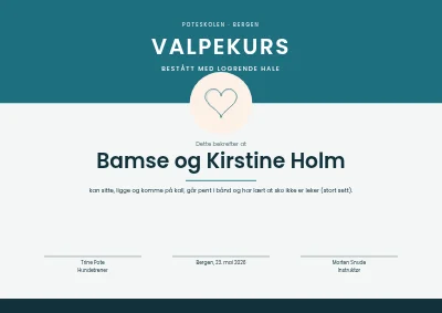 Diplom — valpekurs
