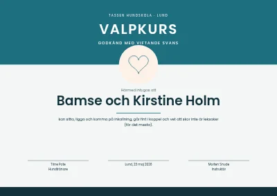 Diplom — valpkurs