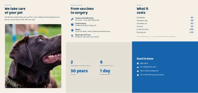 Página 2 de Vet clinic
