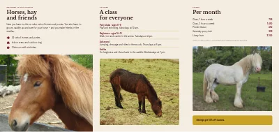 Página 2 de Riding school
