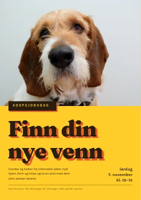 Adopsjonsdag på dyrehjemmet