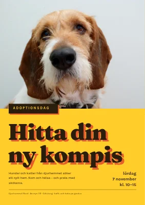 Adoptionsdag på djurhemmet