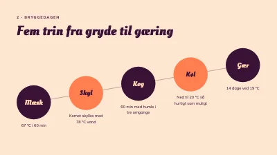 Side 4 af Ølbrygning for begyndere