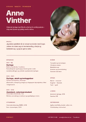 Veterinær-CV — kompakt portrett