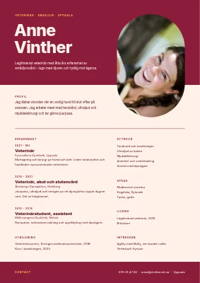 Veterinär-CV — kapselporträtt