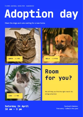 Adoption day at the animal shelter