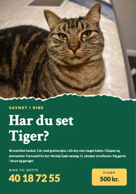 Bortløben kat — revet foto