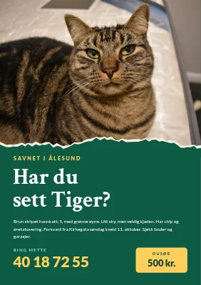 Savnet katt — revet bilde