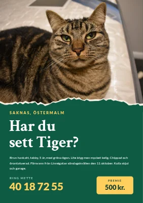 Försvunnen katt — sönderrivet foto