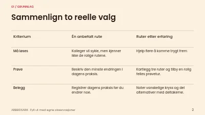 Side 2 av Tryggere sykkelpendling