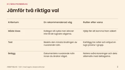Sida 2 av Tryggare cykelpendling