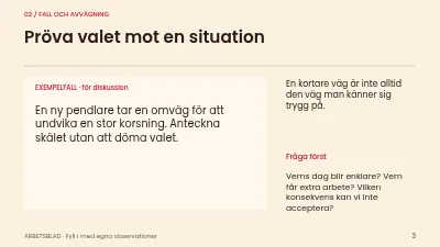 Sida 3 av Tryggare cykelpendling