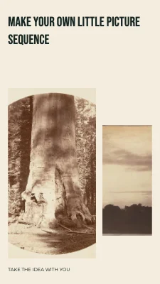 Page 3 of Three pictures from one walk · Diagonal folio