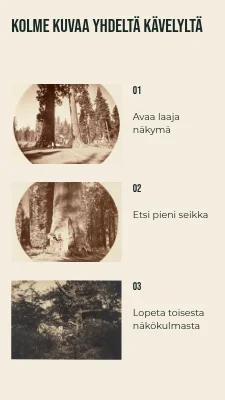 Sivu 2 – Kolme kuvaa yhdeltä kävelyltä · Diagonaalinen folio