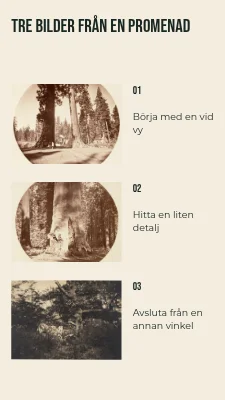 Sida 2 av Tre bilder från en promenad · Diagonalt folio