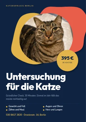 Katzen-Check-up — Tierarztpraxis