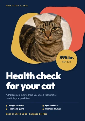 Cat health check — vet clinic