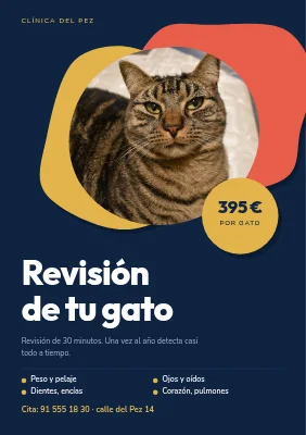 Revisión de salud del gato — clínica veterinaria