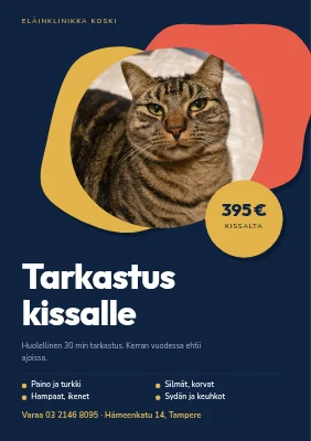 Kissan terveystarkastus — eläinlääkäriasema