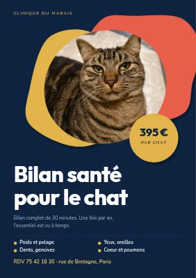Bilan de santé du chat — clinique vétérinaire