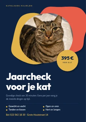 Gezondheidscheck voor katten — dierenkliniek