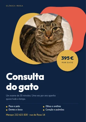 Check-up de saúde do gato — clínica veterinária