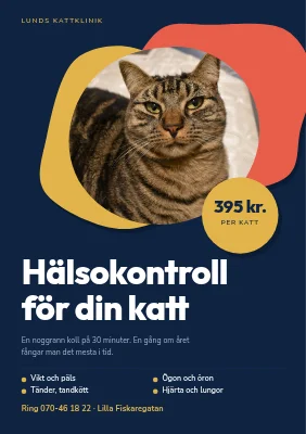 Hälsokontroll för katt — veterinärklinik