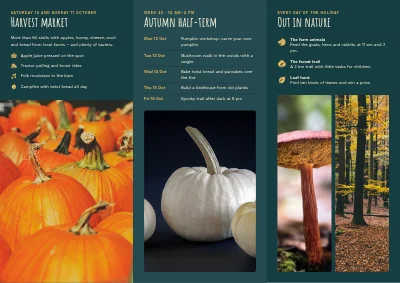 Pagina 2 di Harvest market and autumn half-term