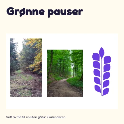 Grønne pauser · levende læring