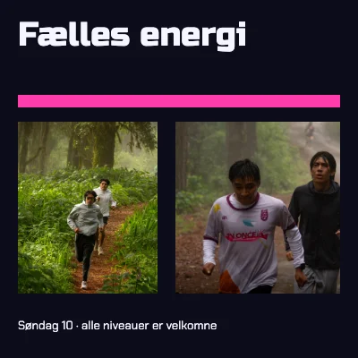 Fælles energi · Neondiptykon