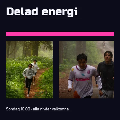 Delad energi · neondiptyk