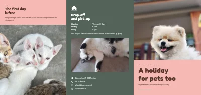 Boarding for dogs and cats